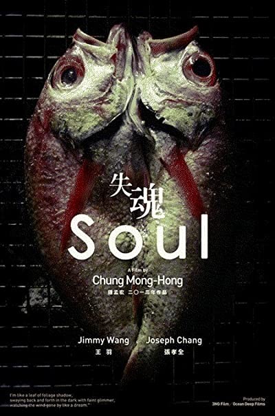 Soul (2013) afişi Soul (2013) afişi