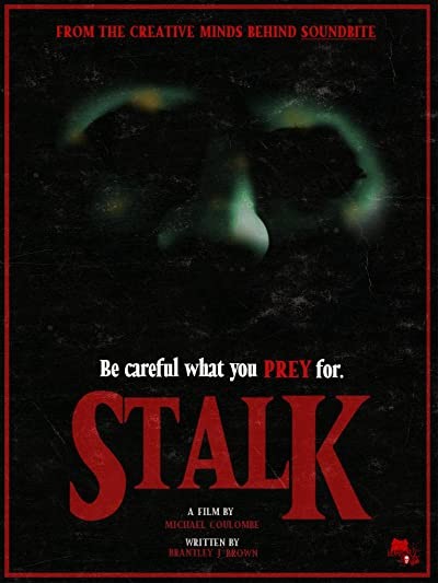 Stalk (2018) afişi Stalk (2018) afişi