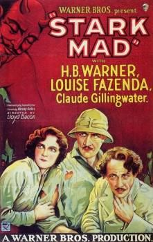 Stark Mad (1929) afişi Stark Mad (1929) afişi