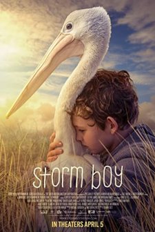 Storm Boy (2019) afişi