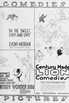 Sweet Dry And Dry (1920) afişi