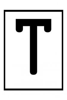 T: Ghosts in the Machine