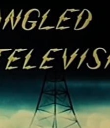 Tangled Television (1940) afişi
