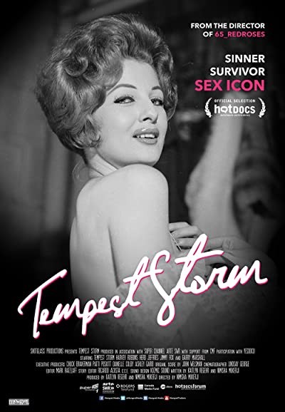 Tempest Storm (2016) afişi Tempest Storm (2016) afişi