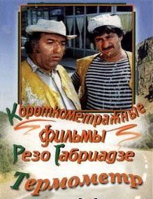 Termometri (1976) afişi Termometri (1976) afişi