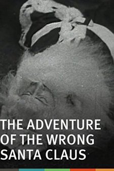 The Adventure Of The Wrong Santa Claus (1914) afişi