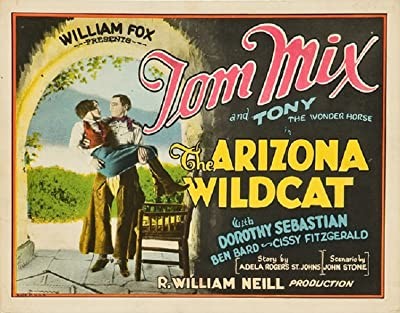 The Arizona Wildcat (1927) afişi The Arizona Wildcat (1927) afişi