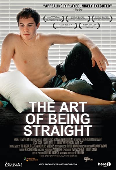 The Art Of Being Straight (2008) afişi The Art Of Being Straight (2008) afişi