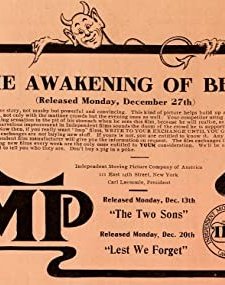 The Awakening Of Bess (1909) afişi