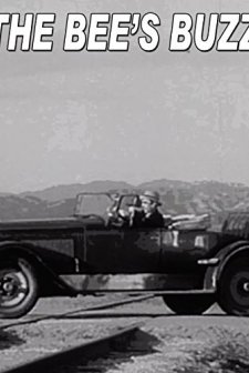 The Bees' Buzz (1929) afişi