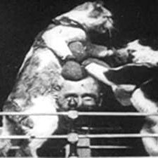 The Boxing Cats (prof. Welton's) (1894) afişi