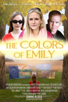 The Colors of Emily  afişi