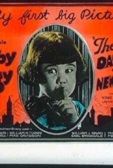 The Darling of New York (1923) afişi