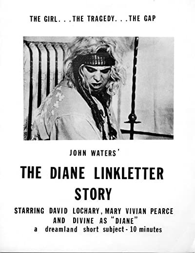 The Diane Linkletter Story (1970) afişi