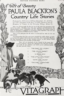 The Diary Of A Puppy (1917) afişi