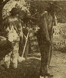 The Fence On 'bar Z' Ranch