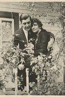 The Flight Of A Night Bird