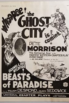 The Ghost City (1923) afişi