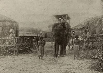 The Ghost Of The Jungle (1916) afişi The Ghost Of The Jungle (1916) afişi
