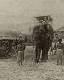 The Ghost Of The Jungle (1916) afişi