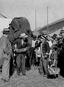 The Great Love (1925) afişi