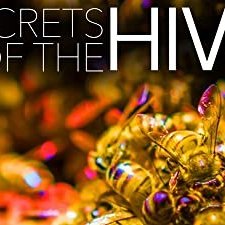 The Hive (2015) afişi