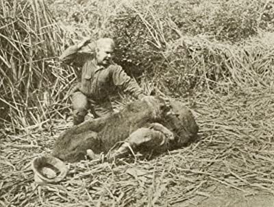The Jungle Master (1914) afişi The Jungle Master (1914) afişi