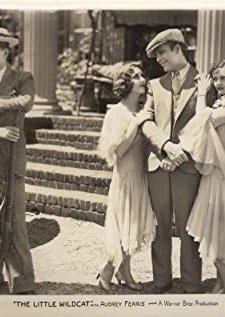The Little Wildcat (1928) afişi