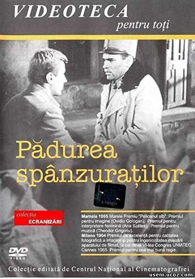 The Lost Forest (1965) afişi The Lost Forest (1965) afişi