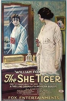 The Love Thief (1916) afişi