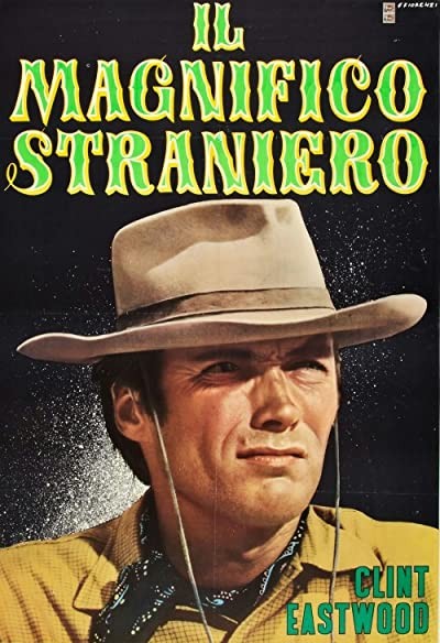 The Magnificent Stranger (1966) afişi The Magnificent Stranger (1966) afişi