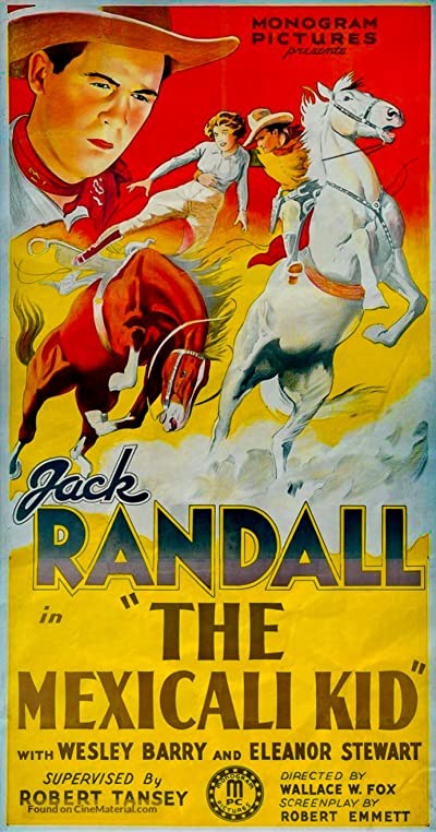 The Mexicali Kid (1938) afişi The Mexicali Kid (1938) afişi