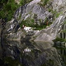 The Persian Love Cake