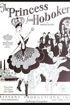 The Princess From Hoboken (1927) afişi
