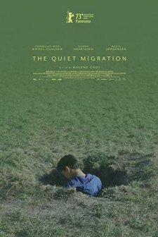 The Quiet Migration