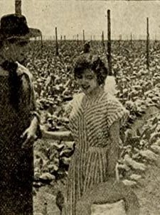 The Rose Of Kentucky (1911) afişi