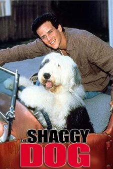 The Shaggy Dog!!