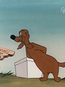 The Shell Shocked Egg (1948) afişi