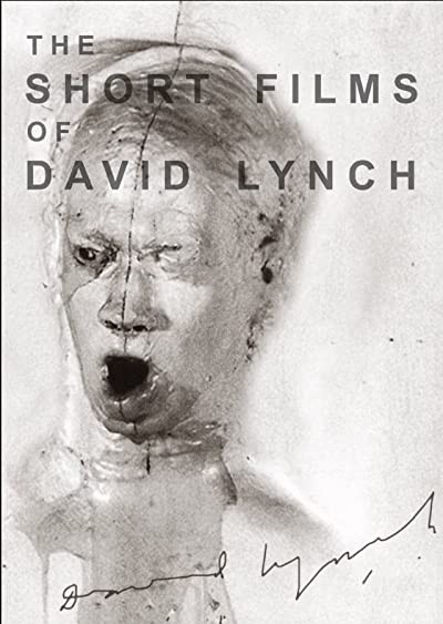 The Short Films Of David Lynch (2002) afişi The Short Films Of David Lynch (2002) afişi