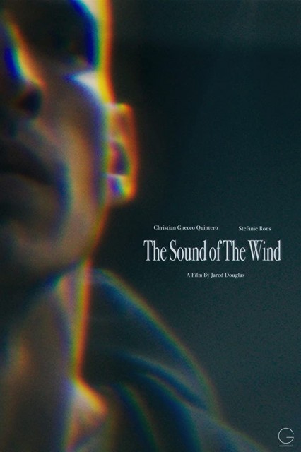 The Sound of The Wind (2020) afişi The Sound of The Wind (2020) afişi