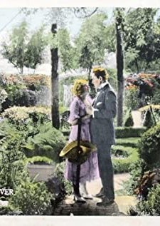 The Star Rover (1920) afişi