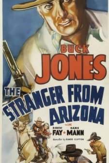 The Stranger From Arizona (1938) afişi