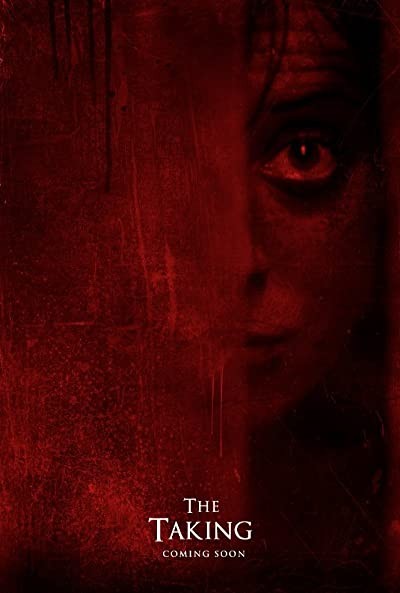 The Taking (2013) afişi The Taking (2013) afişi