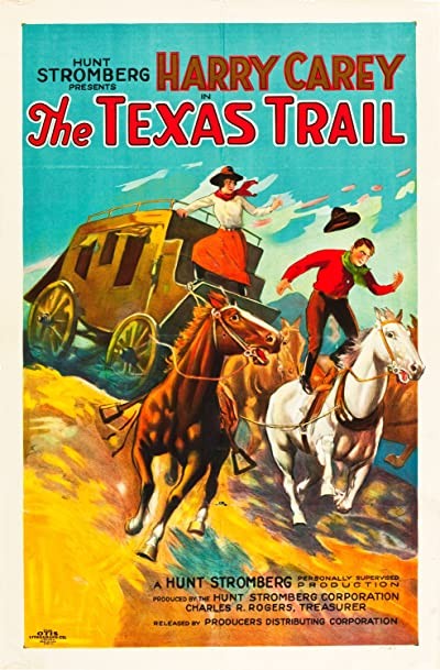 The Texas Trail (1925) afişi The Texas Trail (1925) afişi