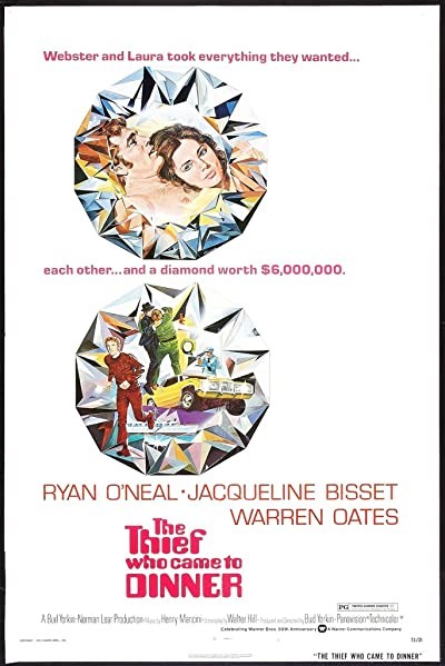 The Thief Who Came To Dinner (1973) afişi The Thief Who Came To Dinner (1973) afişi