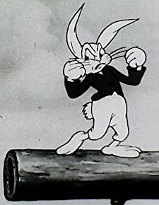 The Timid Rabbit (1937) afişi