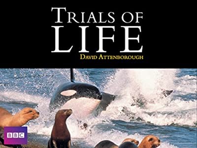 The Trials Of Life (1990) afişi The Trials Of Life (1990) afişi