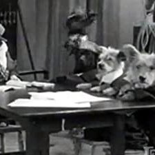 The Two Barks Brothers (1931) afişi