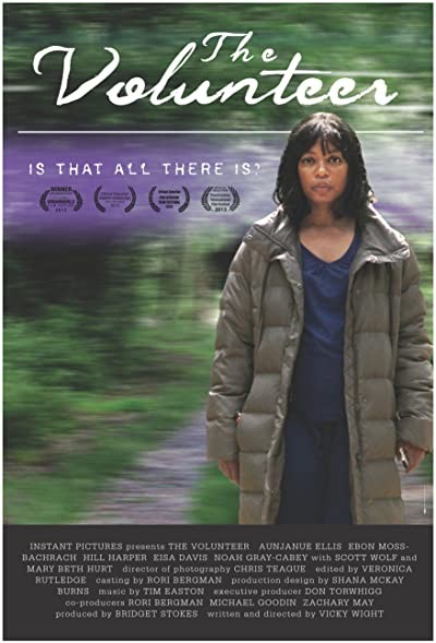 The Volunteer (2013) afişi The Volunteer (2013) afişi