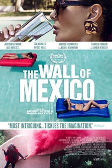 The Wall of Mexico (2019) afişi